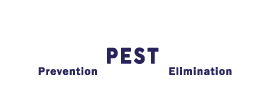 Pest Masters Logo