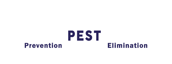 Pest Control Near Me